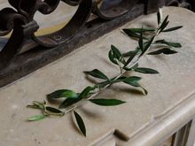 (same room) Then as we were departing that quiet room, I noticed that far from the Bible that I'd assumed she'd been reading, it was in fact the latest Lonely Planet guidebook to Italy. LOL!  Btw, it was the lead-up to Easter.