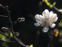 Best to take a taxi here. Buses come close but the signage was not stellar.
