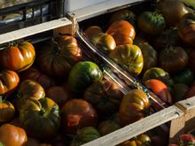 Where there is pasta there will always be pomodoro.