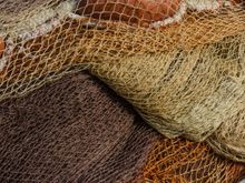 Fishful thinking? That's no problem here. Plenty of Barnacle Bruno types.