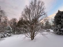 
Evening out my windy after the snow. 