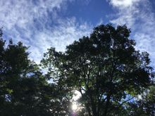 Fay is gone and blue skies are here this mkrning