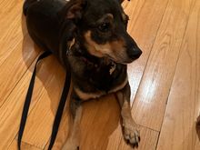 Hanging out in the kitchen. 