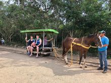 On our way to our first cenote near Merida
