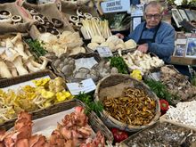 The mushroom vendor