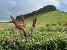 Benbulben, the distinctive table rock formation