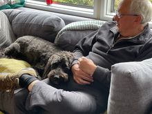 Ralphie is very comfortable 