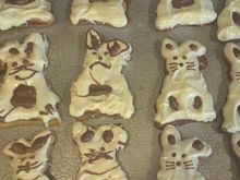 Bunny cookies 