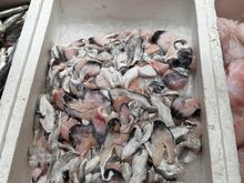 Look at these gorgeous hake cheeks!!