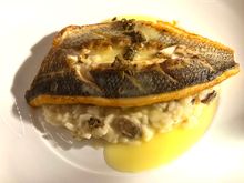 Branzino over truffle risotto 