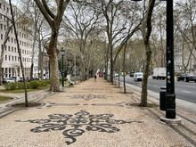 The uncrowded Avenida da Liberdade central promenade