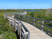 If we visit PEI again, I would definitely take this walk again.
