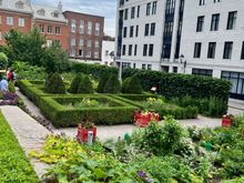 Gardens behind the home.