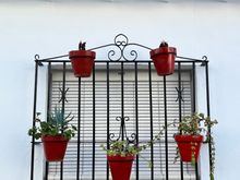 typical iron grille with decorative holders for flower pots