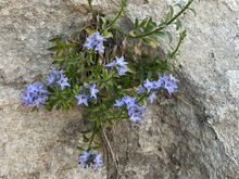 I’m always impressed by the tenacity of nature to create beauty.