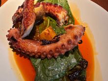 Octopus, served over a dark green