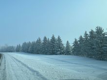 Fog and negative 10 F make for frosty photos.