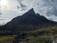 Trail near Blakiston Falls