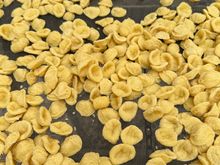 The "little ears," drying in the sun