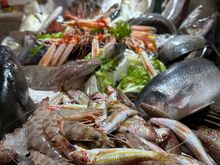 One section of the fish/shellfish display