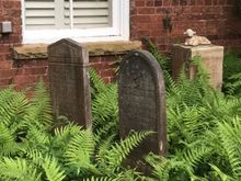 another grave of a child...love the ferns