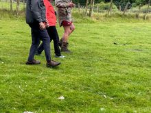 There go the volunteers!