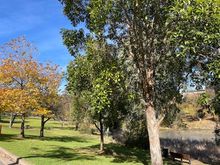 Now it’s winter, the lunchtime walks are nicer..