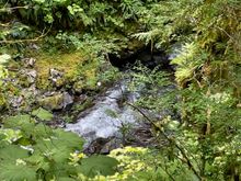 Water at the bottom of the falls