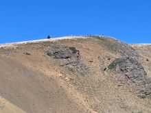 The path to Hurricane Ridge is paved a large part of the way.  Hats off to the Park staff who made this happen.  We saw a number of wheel chairs on the path.  It is steep though.  We didn't make it to the top.  However, if we ever meet I will lie and say we did!