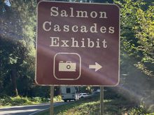 This is not to be missed if you are in Sol Duc, it's a short walk from the park to a viewing stand and you can watch the salmon, swim upstream.  At this point the salmon really are Olympic atheletes.