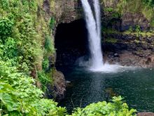 Rainbow Falls in Hilo but no rainbows for us.
