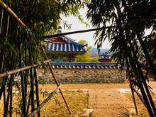 Five Royal Tombs, Gyeongju: The shrines through the bamboo forest.