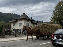 Horse pulling a hay wagon - a popular mode of transportation in rural Romania