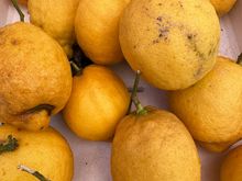 More lemons