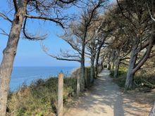 There are two ways to go from the parking lot, one is along the bluff which is where we met our two Seattle friends.