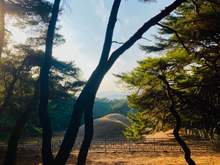 Mount Namsan (Western side), Gyeongju: The Samneung Royal Tombs near the base of the mountain.