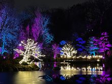 View from the Pond of Reflections. 