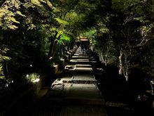 ...and entering Kodaji at night