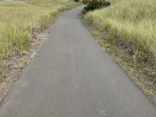 On the Discovery Trail