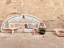 Lots of feral cats here--people are taking care of them