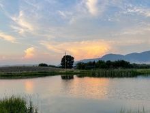 Fish pond at the Madison Valley Ranch.