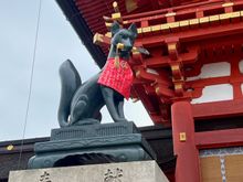 Foxes are considered the special messengers of Inari and act as guardians of the shrine.
