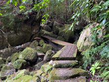 Walkway into the mystical land 