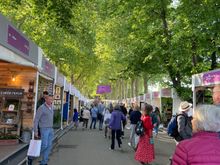 First view of the Chelsea Flower Show. We got there when the gates opened. When we left it at 2PM it was a crush of people. You couldn’t get close to anything. 