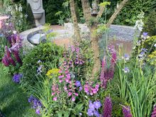 A garden at The Chelsea Flower Show. 