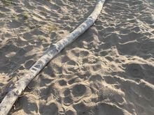 We would like a table for two please.