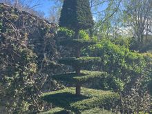 Plas Cadnant - different topiary near the reflecting pool