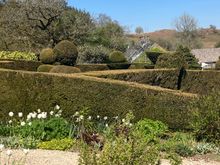 Caerau Gardens - paths between garden rooms