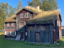 Thatched roof houses