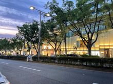 Omote-Sando street, imagine this about 3 miles long